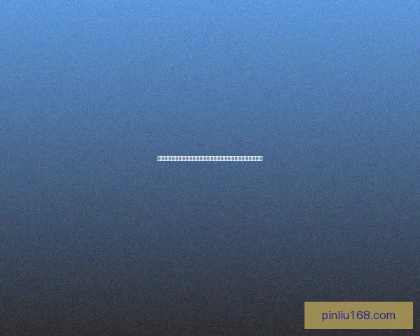 无畏远征军军需官在战火中的使命与担当：从后勤保障到胜利的支撑